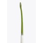 Stick Hockey Hierba Osaka LB 25 Advance Kaki Green